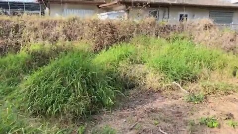 3 NOBODY would mow this NIGHTMARE of a yard for this KIND lady SO I DID FOR FREE!!! INSANE MAK
