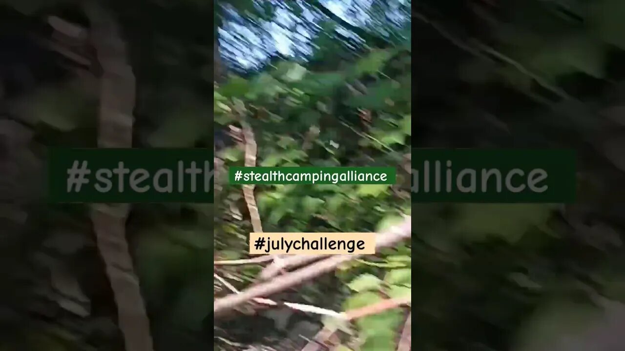 Stealth Camping #shorts #stealthcampingalliance #stealthcamping