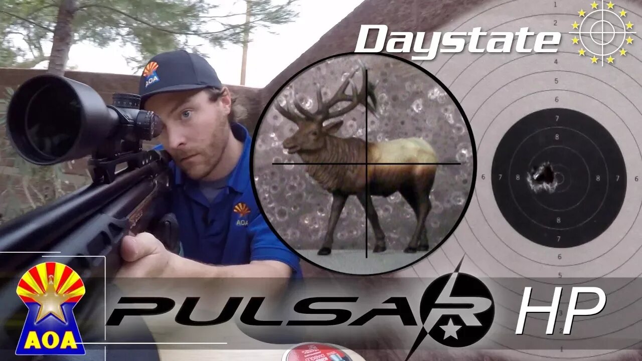 Daystate Pulsar HP REVIEW