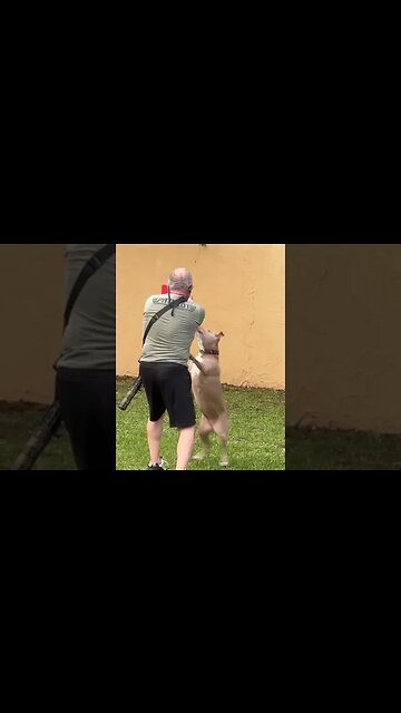 Urban Survival: Pitbull Attack While Dry-Fire Training!