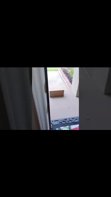 We got this today... #shorts #reviews #review