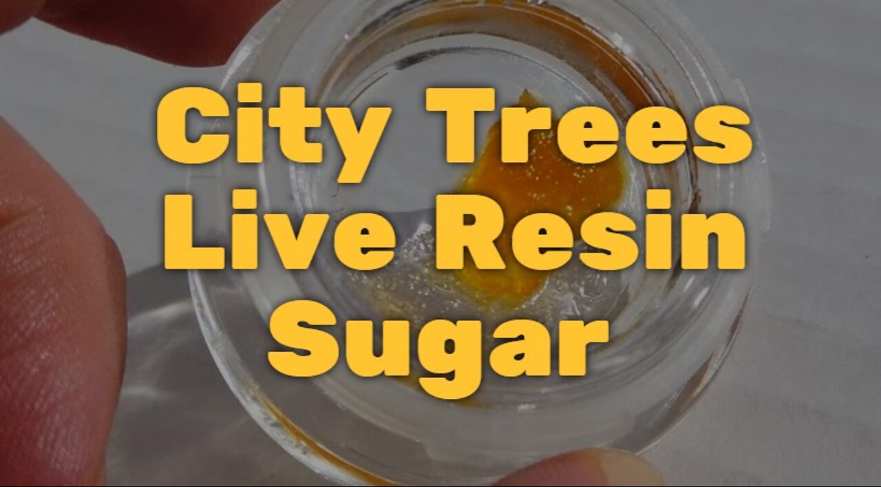 City Trees Live Resin Sugar - Excellent Taste and Strength Make This One Of The Best