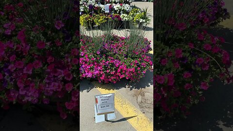 Home Depot ~ So Many Plants! #shorts #homedepot #plants