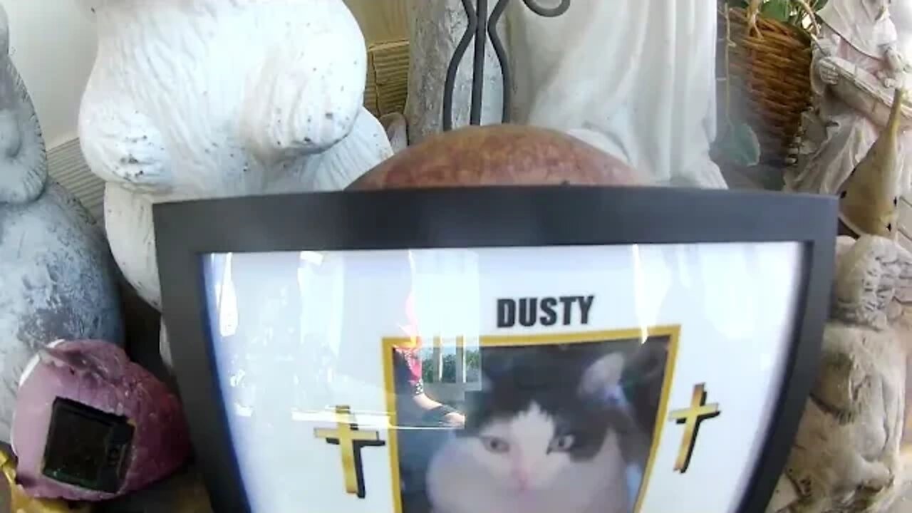 Our Beloved Dusty's 21Year Memorial - 10/05/22