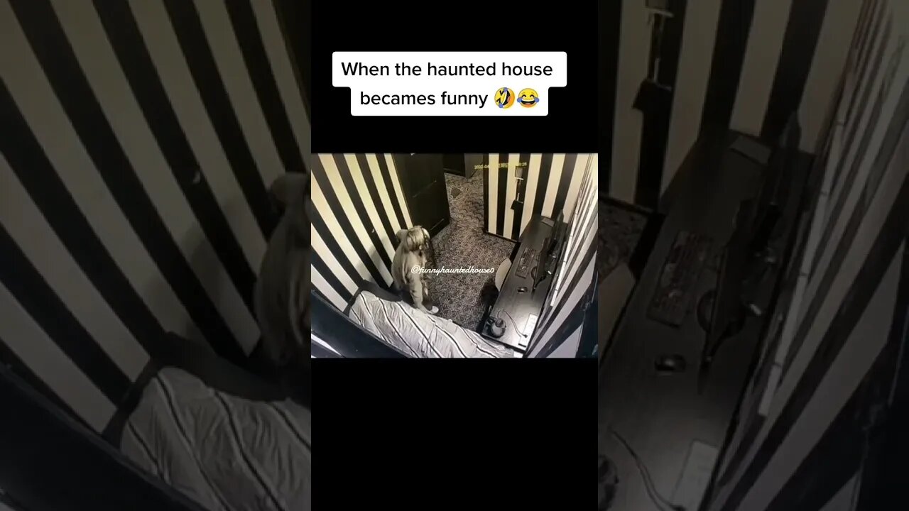funny