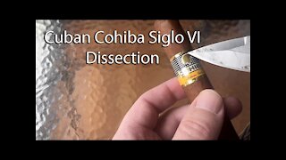 Cuban Cohiba Siglo VI Cigar Dissection Cut Open