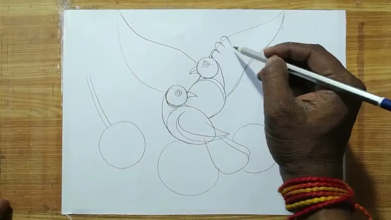 how to draw a pigeon and rose flowers with pencil sketch