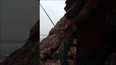 اشمن حوت لي كيدير هاد الخدمة ؟؟ #fishing #maroc #pêche #shorts #carrefourdespecheurs