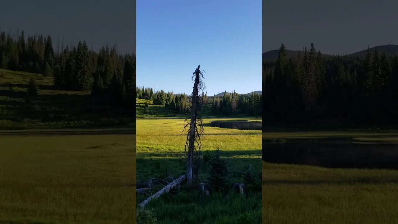 First morning at 10K feet in Colorado 42 degrees on 7/11