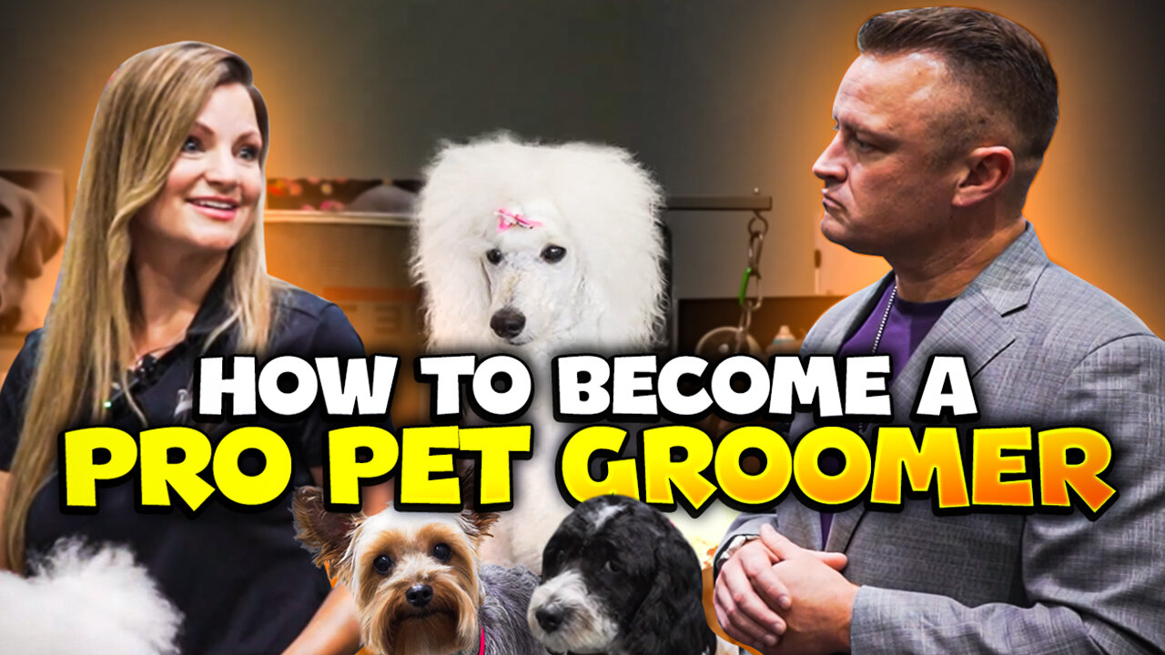 How to Make Money as a Successful Dog Groomer