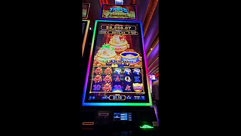 Triple Coin Treasures