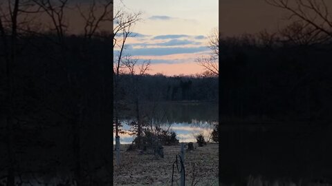 Geese Getting Ready To Land