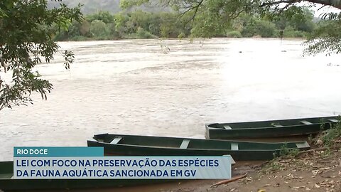 Rio Doce: Lei com Foco na Preservação das Espécies da Fauna Aquática Sancionada em GV.