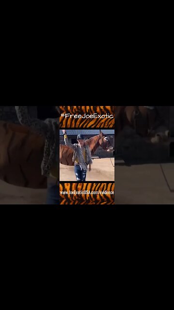 Free Joe Exotic the Tiger King! #freejoeexotic #joeexotic #tigerking