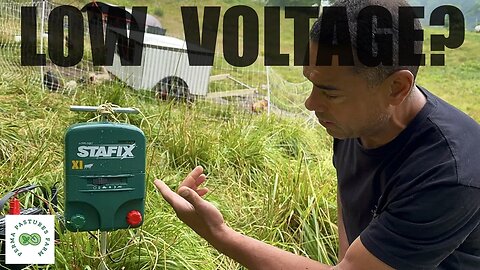 3 Reason Your Electric Fence SUCKS!