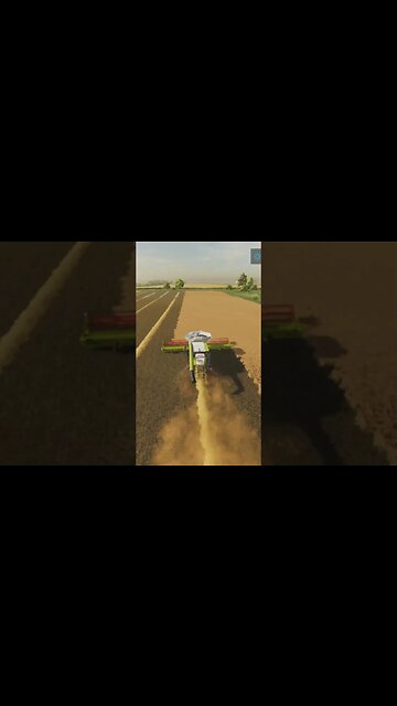 Canola Collection Farming Simulator 22 #shorts