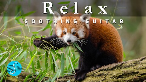 Sonome' - Relax with Soothing Guitar
