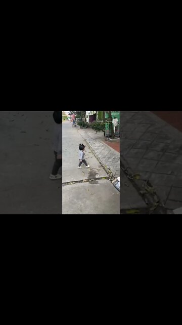 The child and the dog abandoned in the street seem to have taken the child and did not like the dog