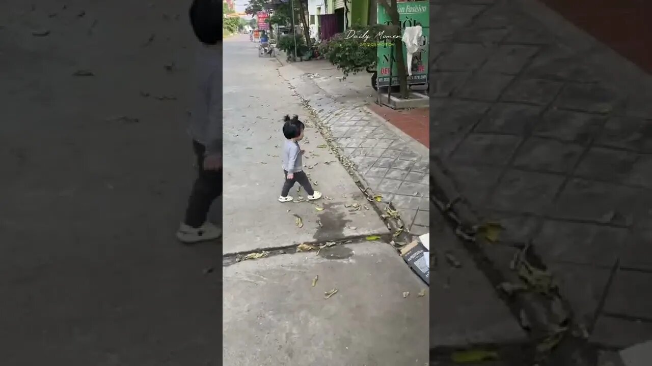 The child and the dog abandoned in the street seem to have taken the child and did not like the dog