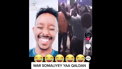 try not to laugh 🤣 viral FUNNIEST videos
