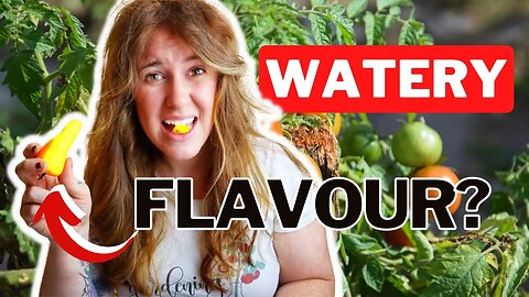 Does Soil Nutrients Affect Food Flavour? The Five Nutrients That Change Crops Flavour. 🍅🫑