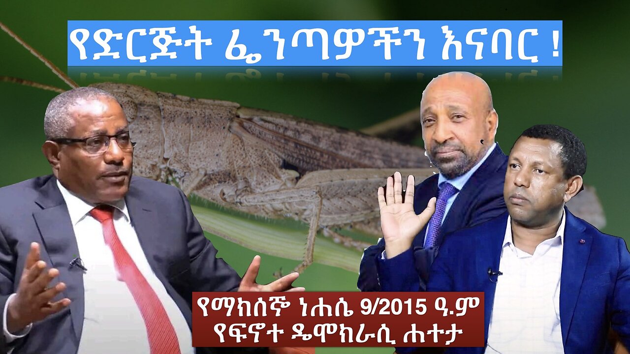 Finote Hateta: የድርጅት ፌንጣዎችን እናባር ! #ፋኖ #Fano #eprp #ዴሞክራሲያ #ኢሕአፓ #ኢትዮጵያ #eprp #amhara #Hama_Tuma