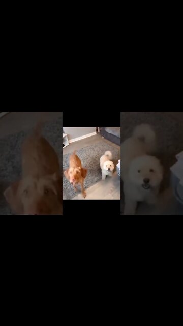 Open up your Kundalini , # short