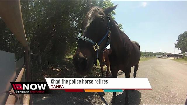 Chad the police horse retires after 13 years of service in Tampa