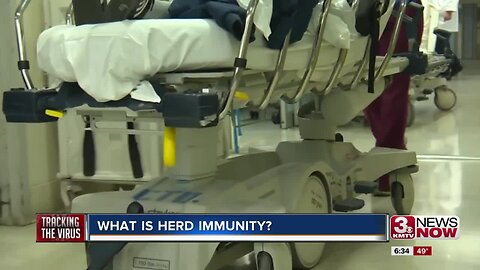 What is herd immunity?