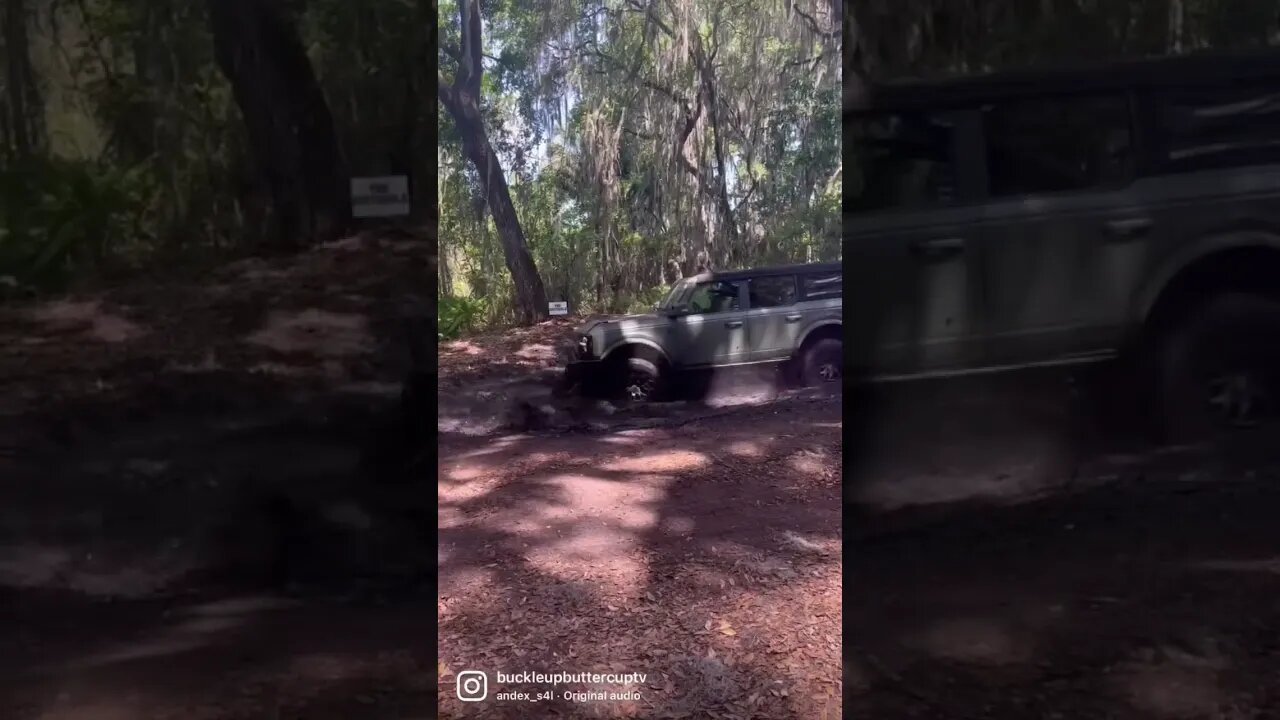 Ouch, did that hurt the Ford Bronco?