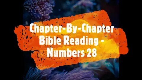 Chapter-By-Chapter Bible Reading - Numbers 28