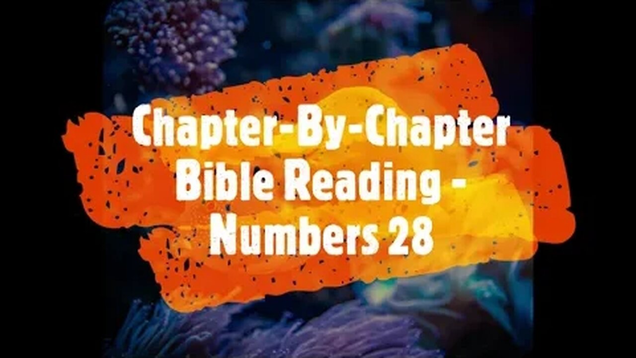 Chapter-By-Chapter Bible Reading - Numbers 28