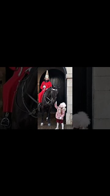 The kings guards horse and the little girl #thekingsguard