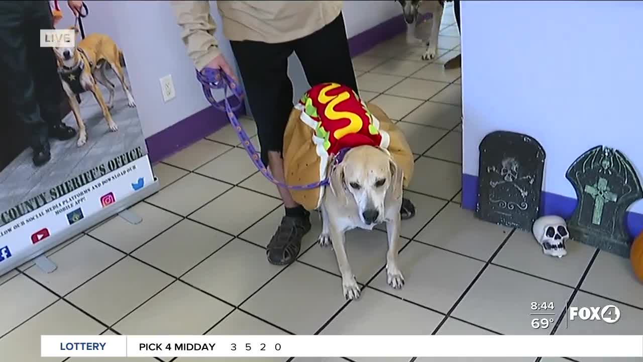 Halloween costume contest with Pets of the Week at GCHS