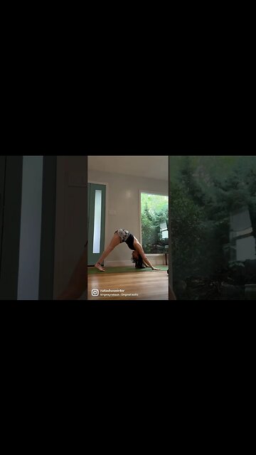 Chaturanga to Up Dog 🐶