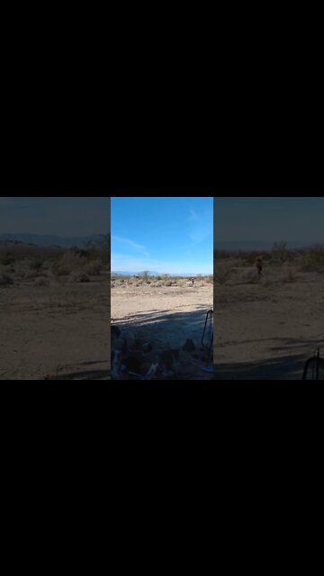 Take these Broken Wings & Fly!!! Mister Mister.