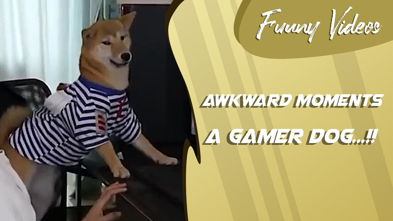 A Gamer Dog - Awkward Moment