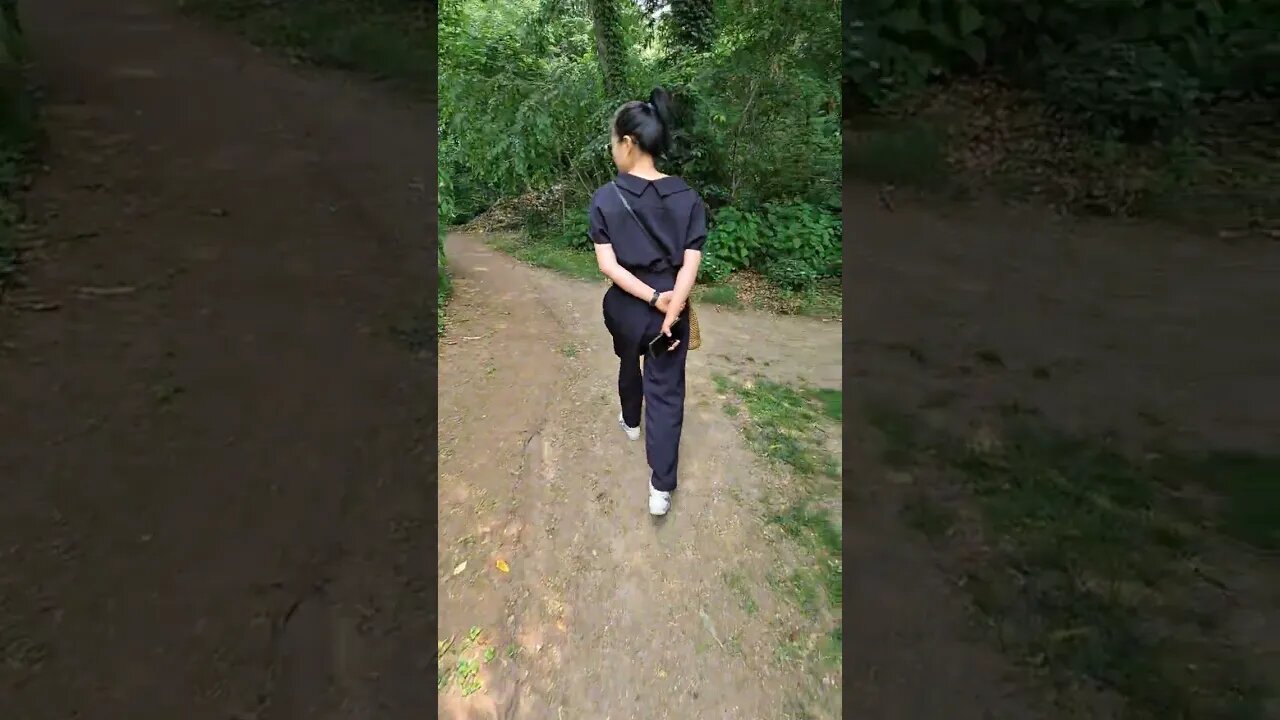 곷충남 당진 아미미술관 수국꽃밭