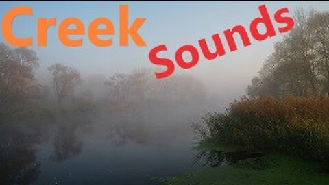 Stunning Relaxing Autumn Dawn Creek River Stream Morning Fog with Nature Sounds, Frog & Bird Sounds