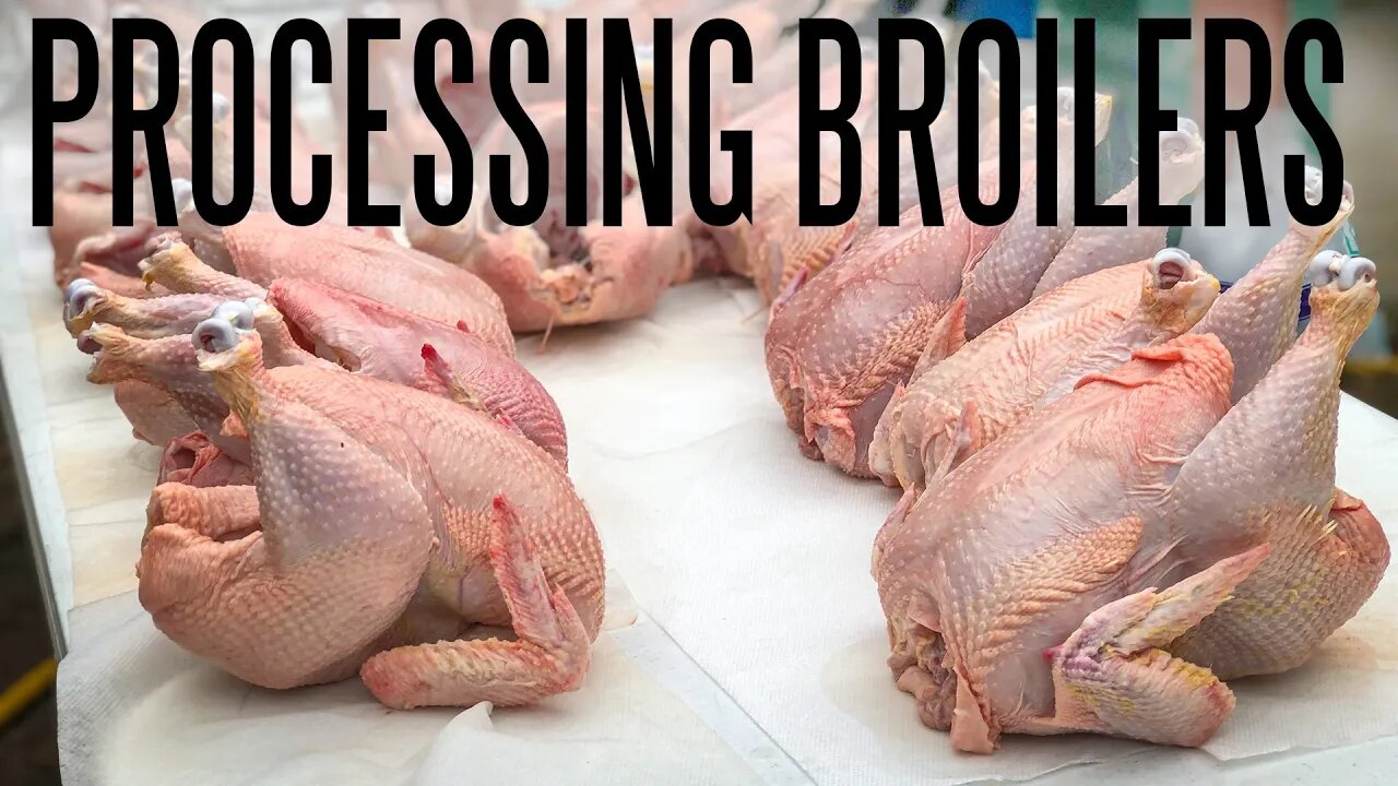 How To Process Chickens At Home