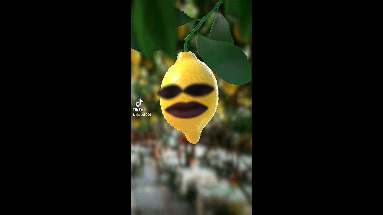 lemon head