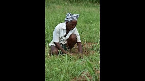 The man working in field