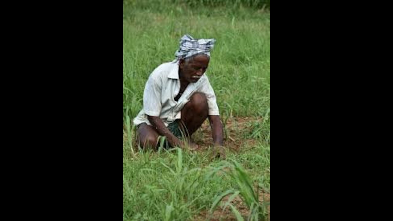 The man working in field