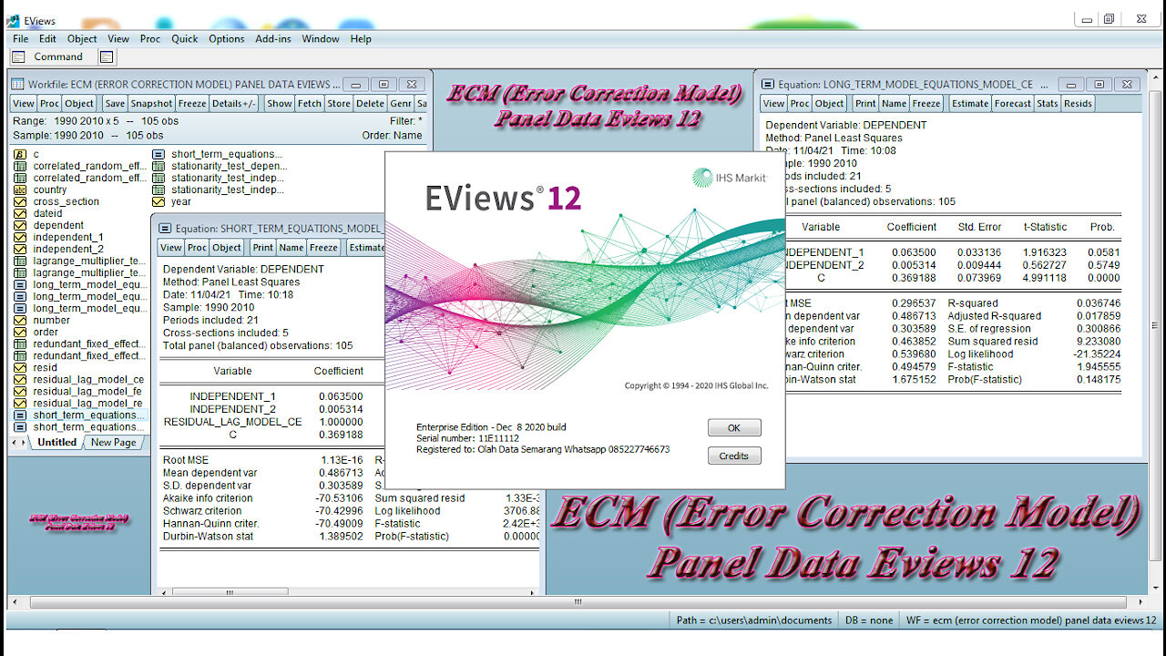 ECM (Error Correction Model) Panel Data Eviews 12