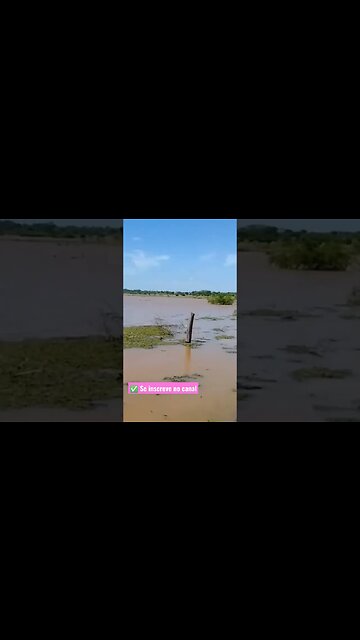 ✅ Barragem do Giral toda cheia, # Belezas do Nordeste🌵 🌞