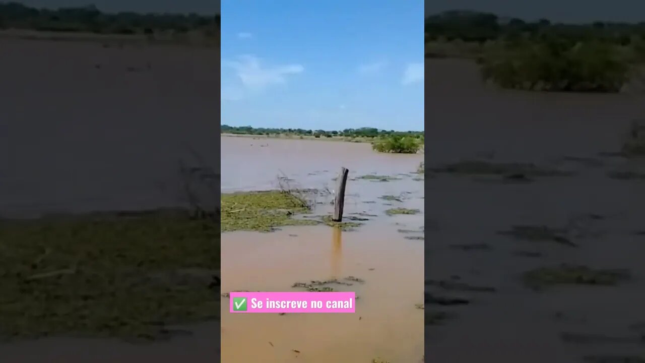 ✅ Barragem do Giral toda cheia, # Belezas do Nordeste🌵 🌞