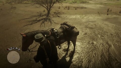 Red Dead Redemption 2 Evil Part 121-Human Sheld