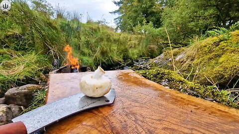 BUSHCRAFT in wild Food breakfast