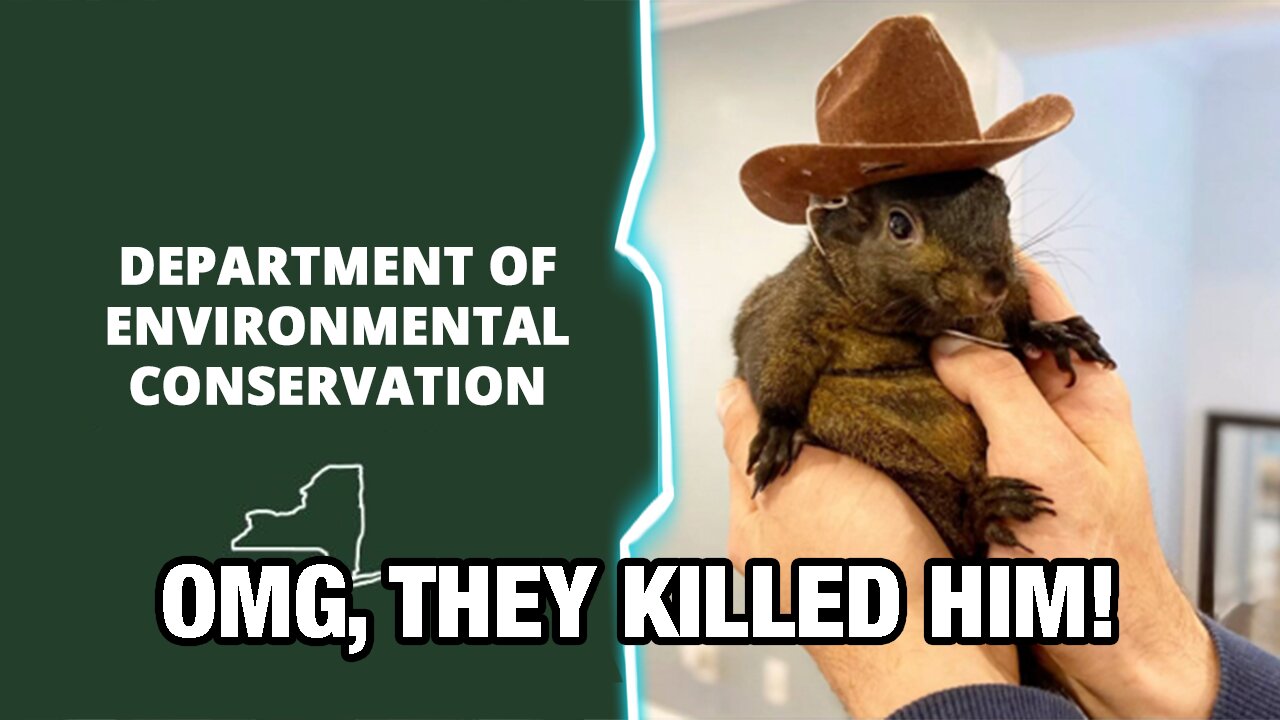 Kathy Hochul’s Goon Squad Kills Internet-Loved Peanut the Squirrel & Fred the Raccoon