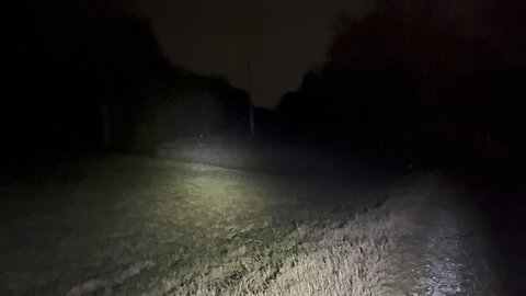 Deer look like coyotes when spotlight hunting for raccoons